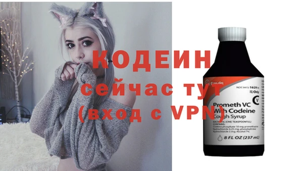 стаф Магас