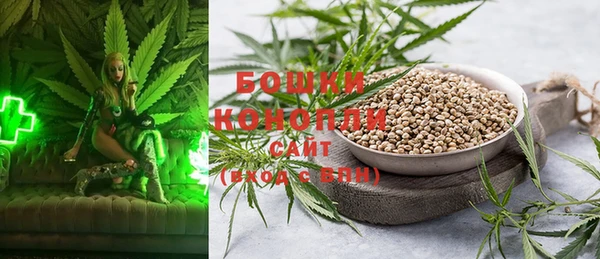 соль ск Липки