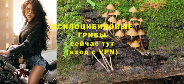 дурь Лиски