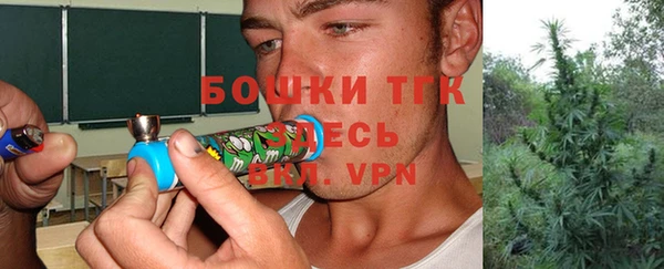 соль ск Липки