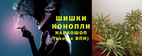 соль ск Липки